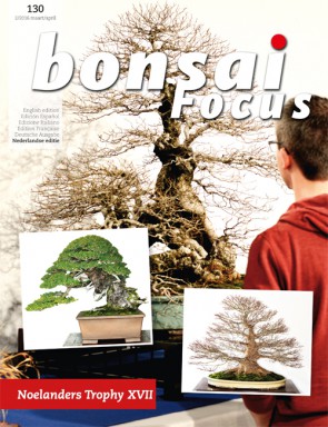 Bonsai Focus NL #130