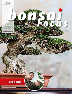 Bonsai Focus NL #156
