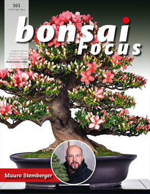 Bonsai Focus NL #161