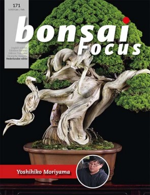 Bonsai Focus NL #171
