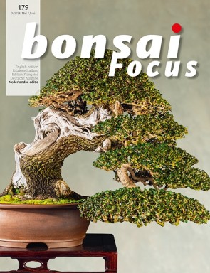 Bonsai Focus NL #179