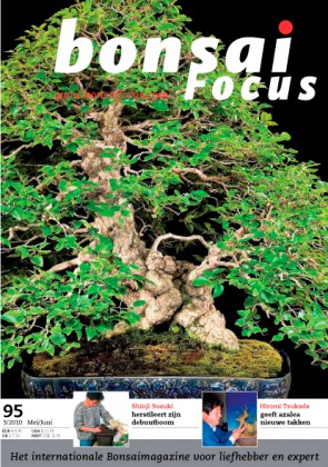 Bonsai Focus NL #95