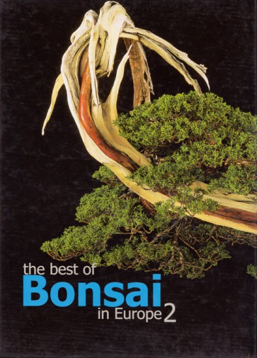 The best of Bonsai in Europe #2