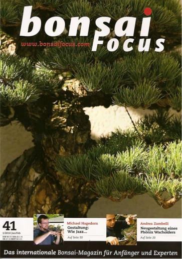 Bonsai Focus DE #41