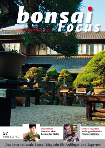 Bonsai Focus DE #57