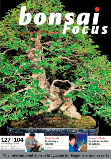 Bonsai Focus EN #104/#127