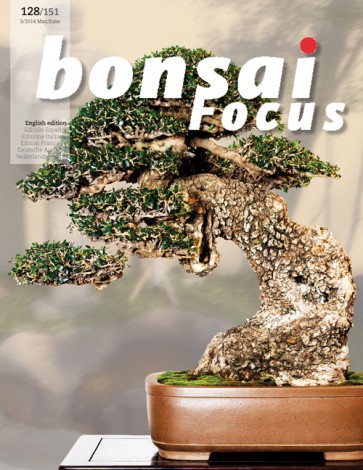Bonsai Focus EN #128/#151