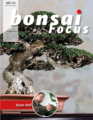 Bonsai Focus EN #165/#188