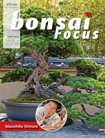 Bonsai Focus EN #171/#194