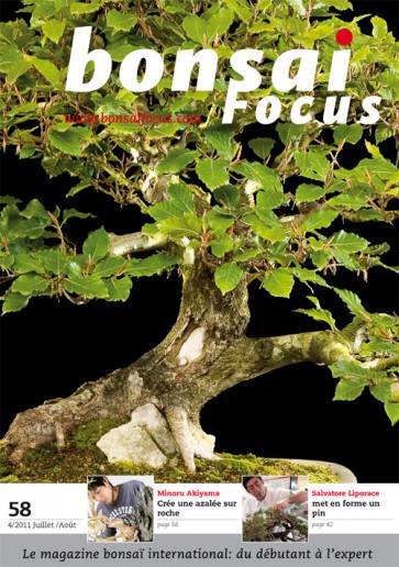 Bonsai Focus FR #58