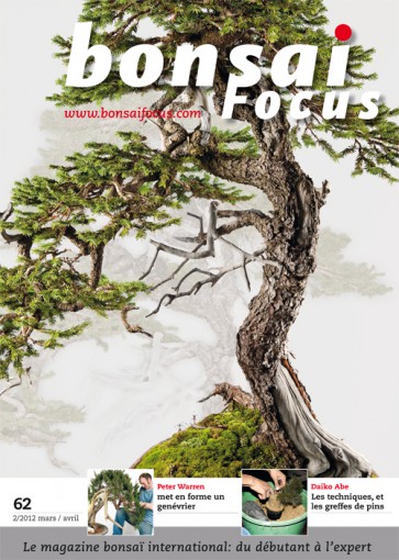 Bonsai Focus FR #62