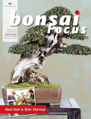 Bonsai Focus FR #95