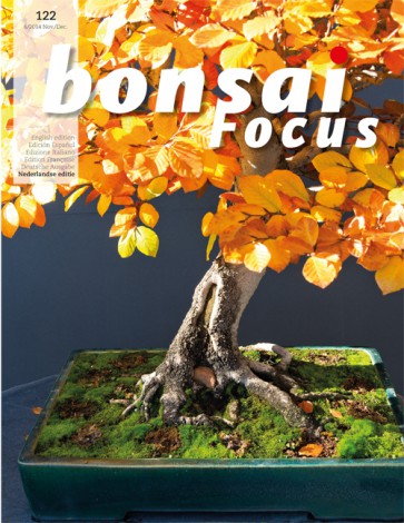 Bonsai Focus NL #122