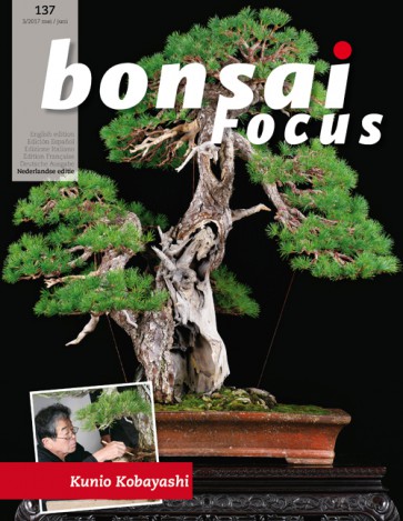 Bonsai Focus NL #137