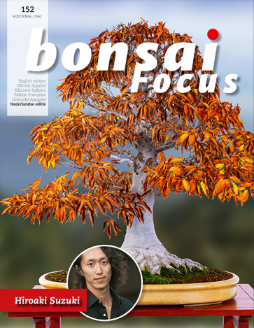 Bonsai Focus NL #152