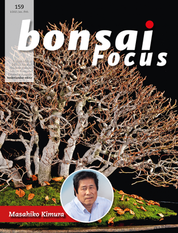 Bonsai Focus NL #159