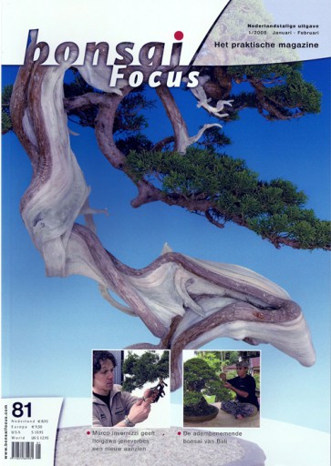 Bonsai Focus NL #81