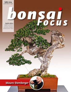 Bonsai Focus EN #181/#204
