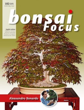 Bonsai Focus EN #182/#205