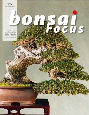 Bonsai Focus FR #135