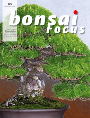 Bonsai Focus IT #109