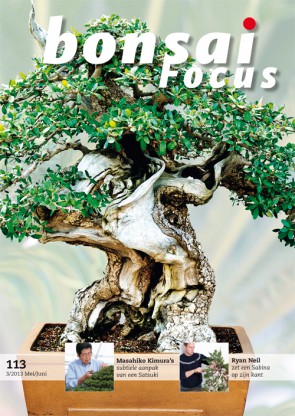 Bonsai Focus NL #113