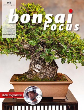 Bonsai Focus NL #168