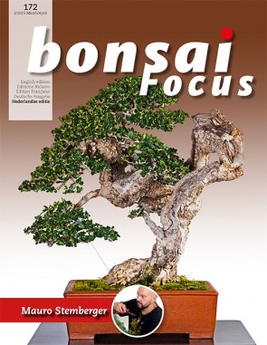 Bonsai Focus NL #172
