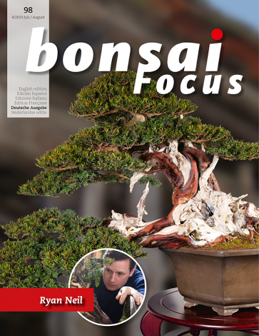 Bonsai Focus DE #98