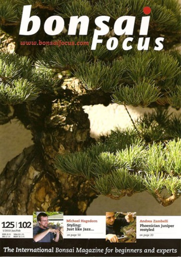 Bonsai Focus EN #102/#125