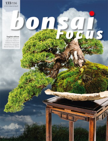 Bonsai Focus EN #133/#156