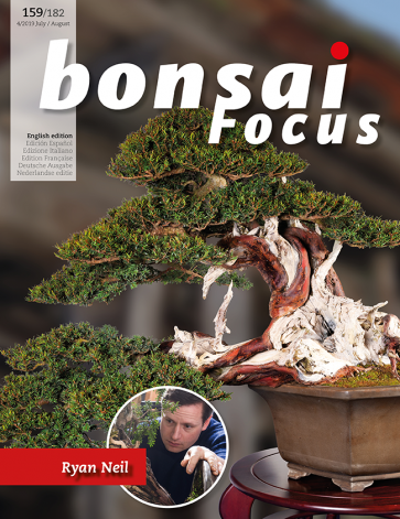 Bonsai Focus EN #159/#182