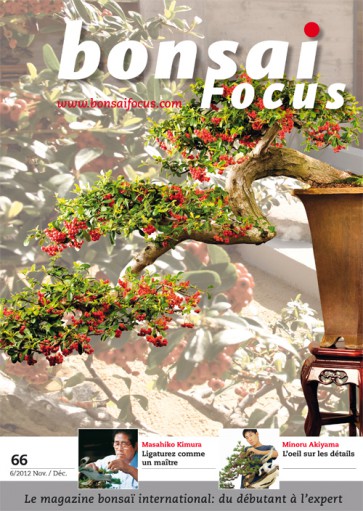 Bonsai Focus FR #66