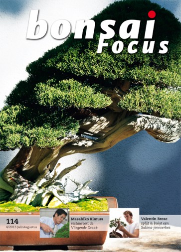 Bonsai Focus NL #114