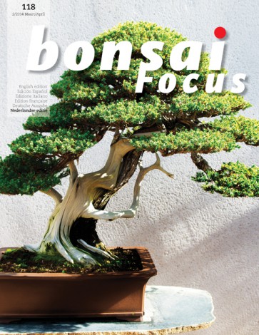 Bonsai Focus NL #118