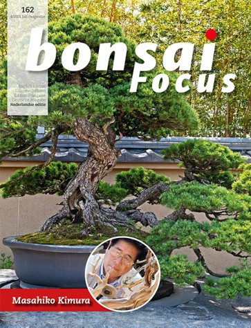 Bonsai Focus NL #162