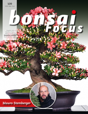 Bonsai Focus DE #109