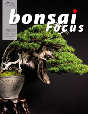 Bonsai Focus EN #174/#197