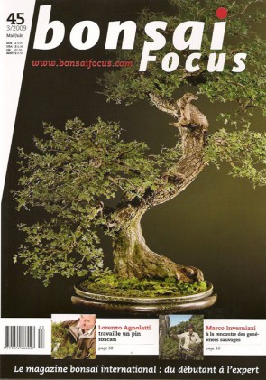 Bonsai Focus FR #45 